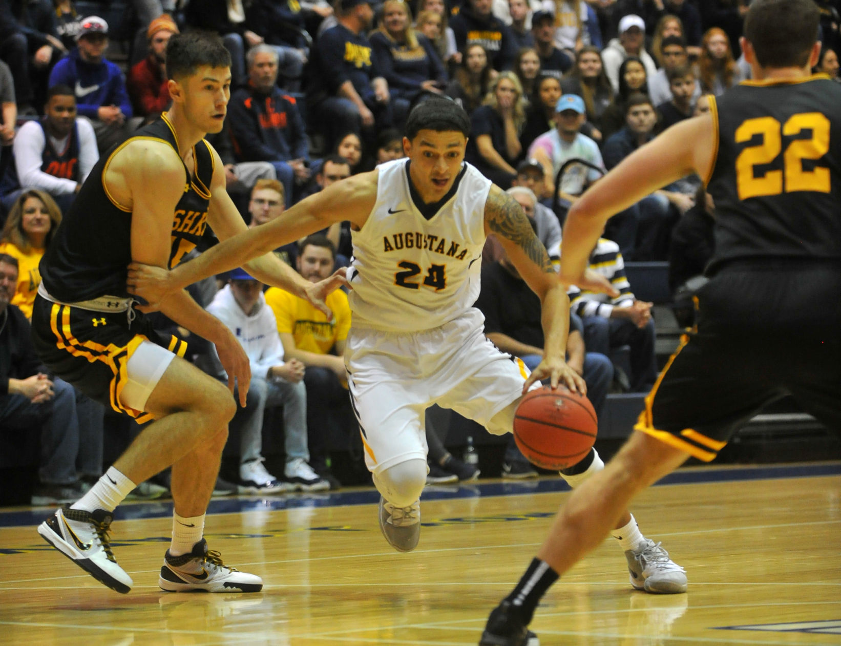 Augustana College men's basketball vs UW-Oshkosh season opener.